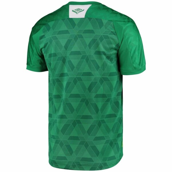 Campeonato Brasileiro Serie A Chapecoense Home Jersey Shirt 2020-21 for Men