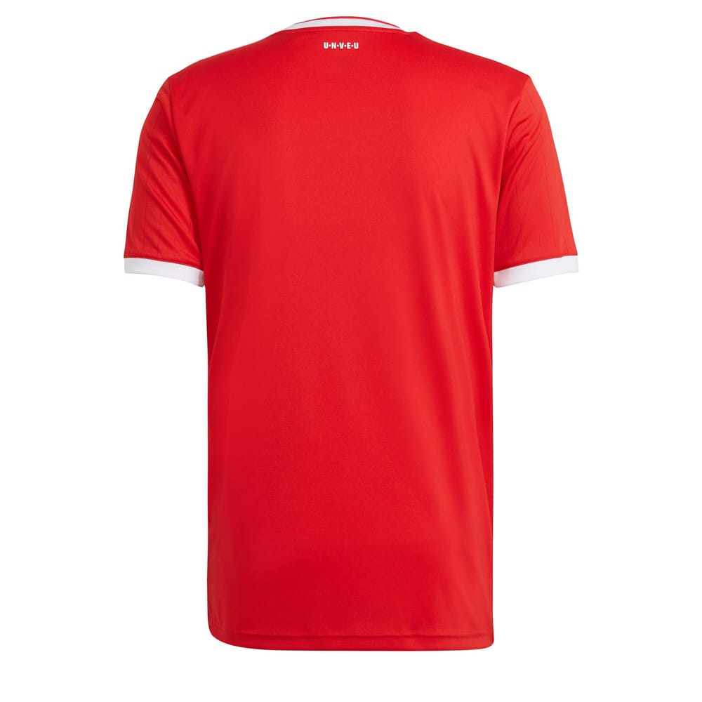 Bundesliga Union Berlin Home Jersey Shirt 2021-22 for Men