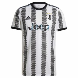Serie A Juventus Home Jersey Shirt 2022-23 player Chiesa 22 printing for Men